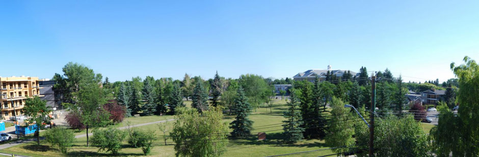 5th Floor View of Park